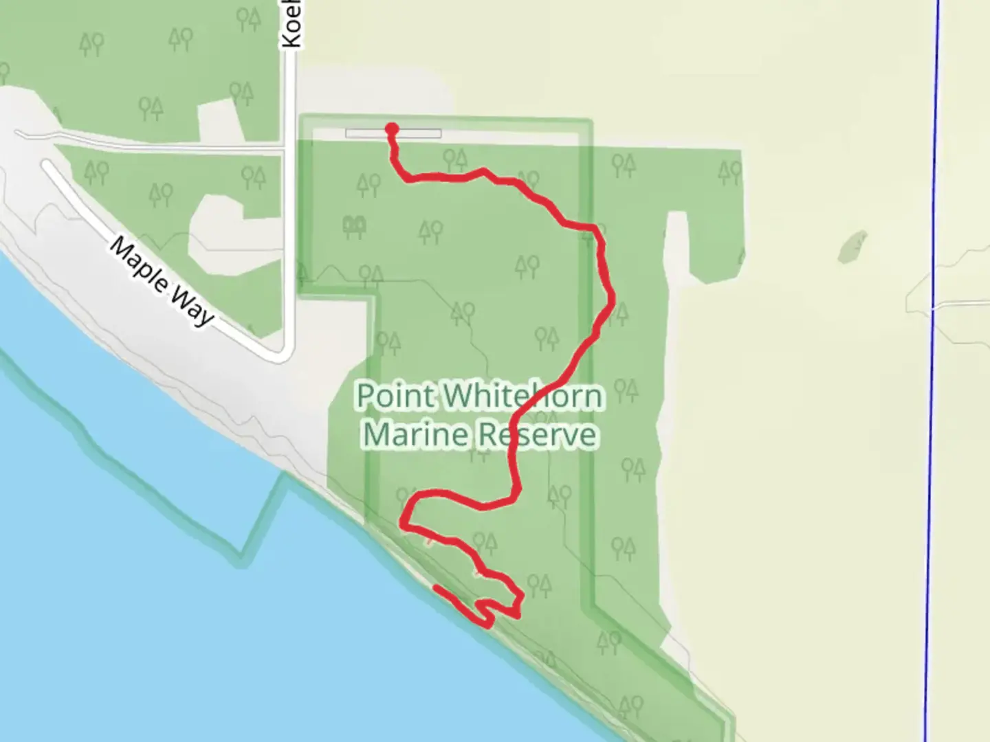 An image depicting the trail Point Whitehorn Marine Reserve Trail and its surrounding area.