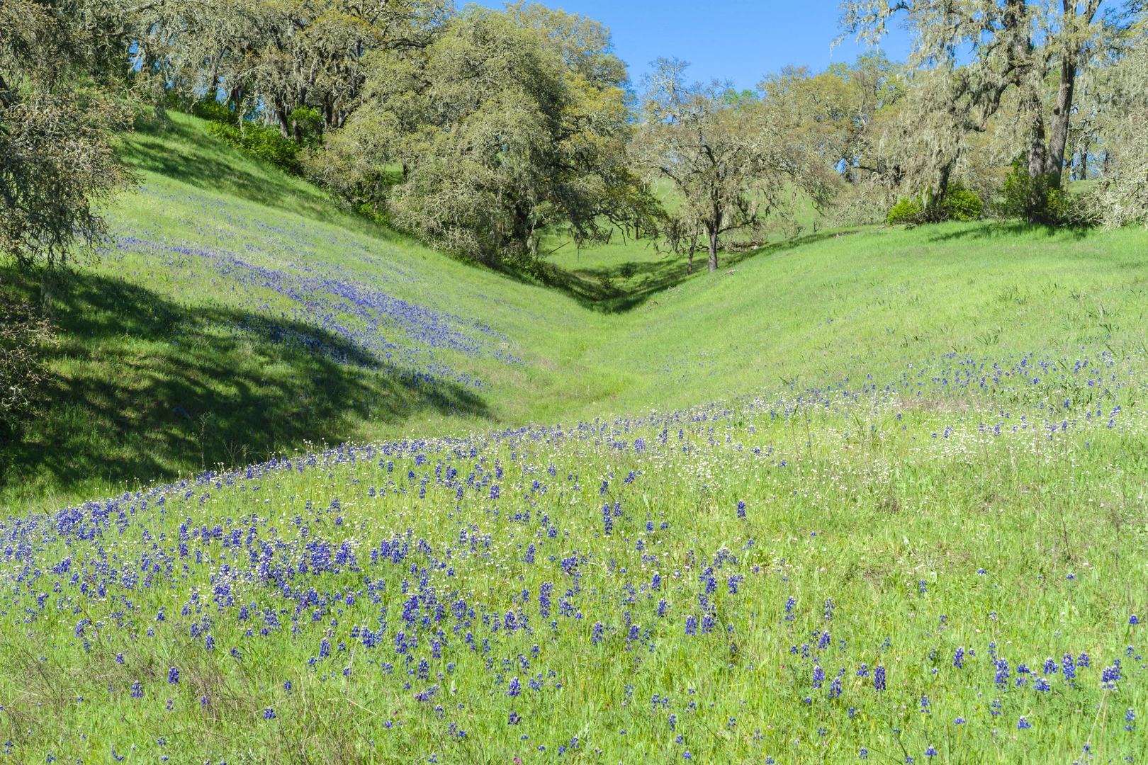 An image depicting the trail Suttonfield Lake and Woodland Star Trail Loop and its surrounding area.