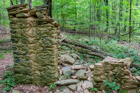 An image depicting the trail Entry Run Trail and its surrounding area.