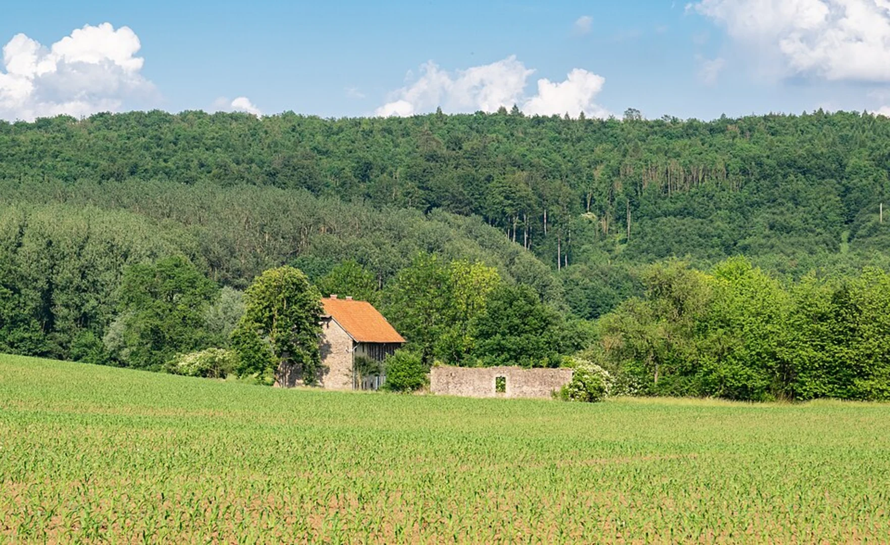 An image depicting the trail Eggeturm and Preußische Velmerstot Walk via Steinheim-Sandebeck and its surrounding area.