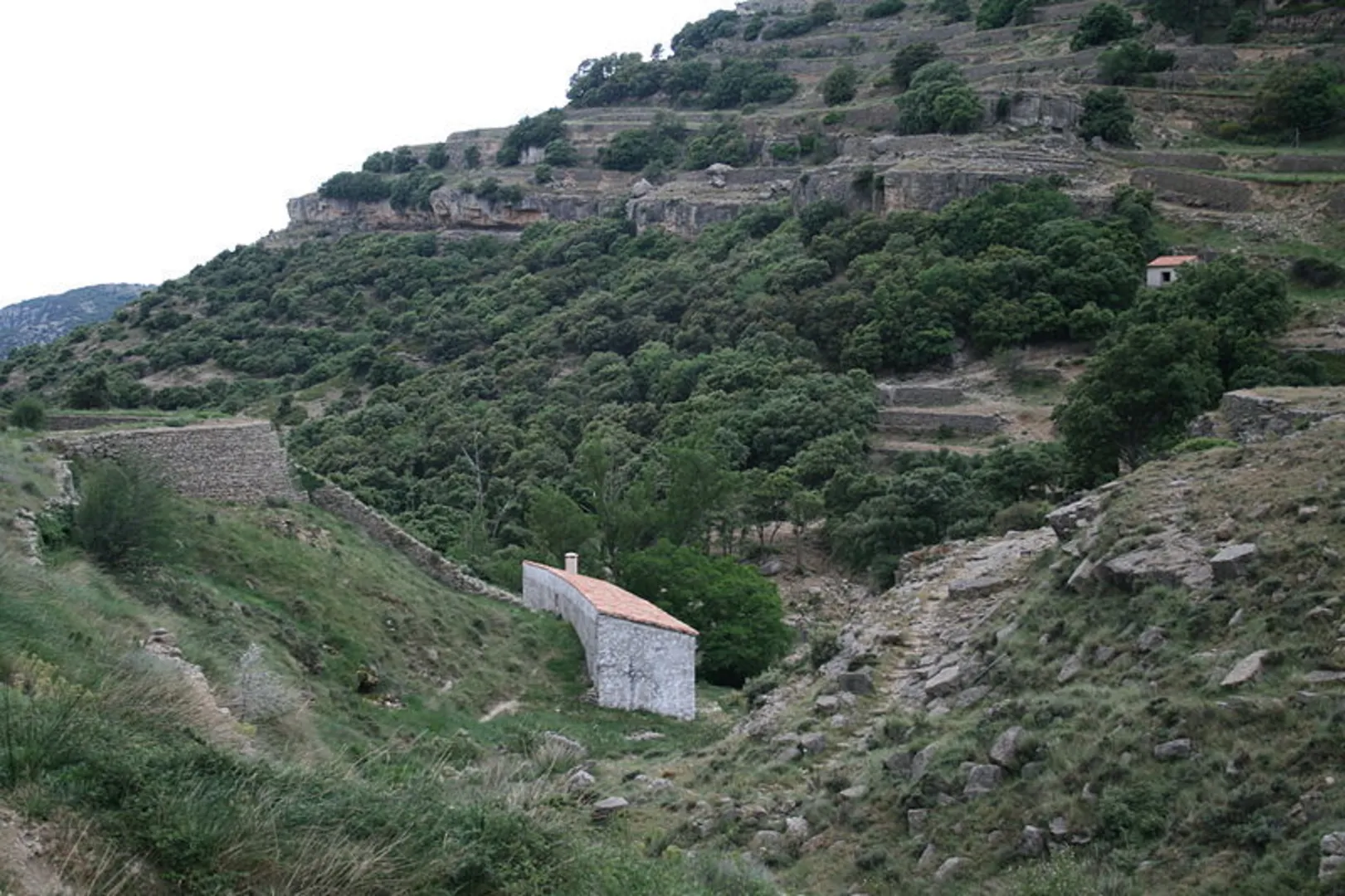 An image depicting the trail Ibi - Serra de Menejador - Ibi PR CV 026 and its surrounding area.