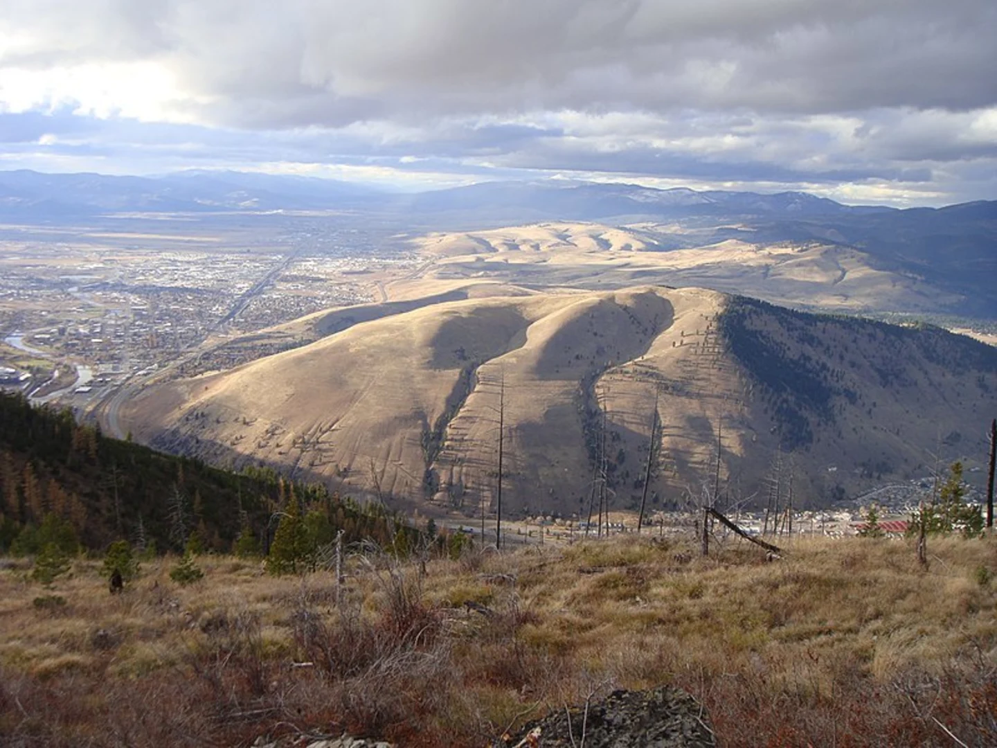 An image depicting the trail Curry Gulch via Rattlesnake Creek Trail and its surrounding area.