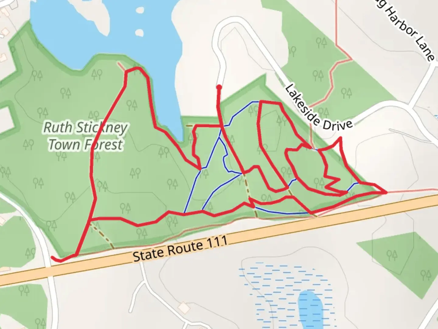 An image depicting the trail Atkinson Forest Lands and Green Area Loop and its surrounding area.