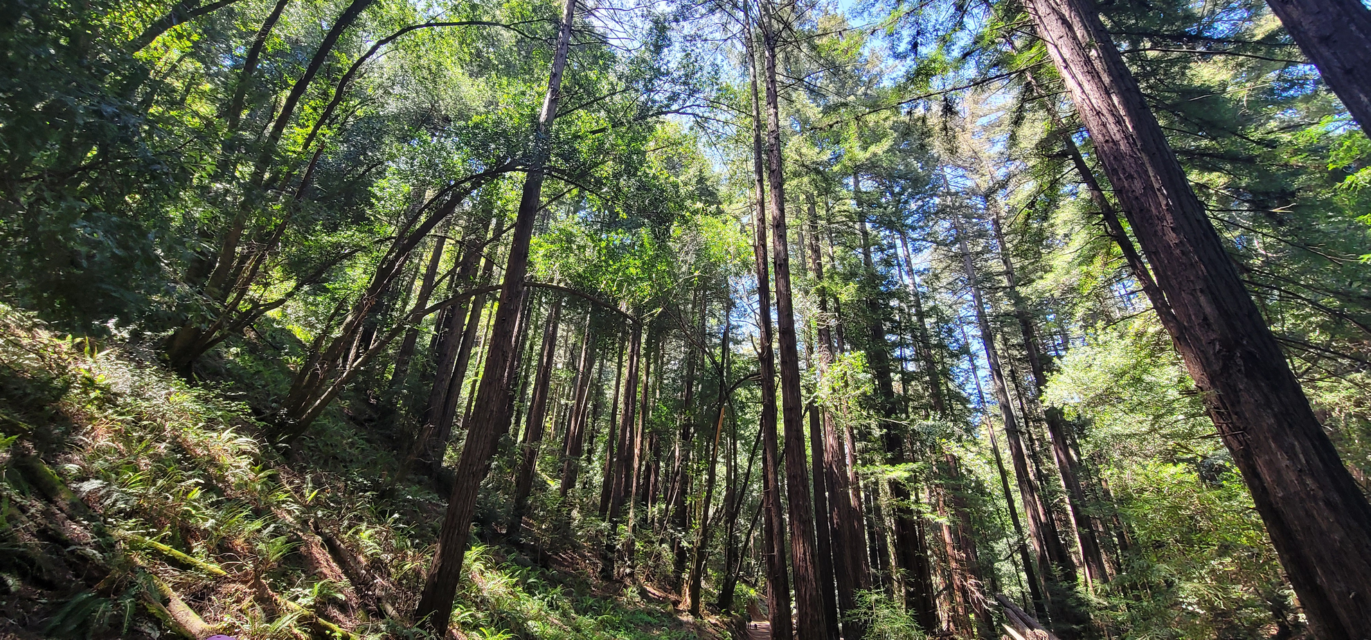 An image depicting the trail Bridle, French and West Ridge Loop Trail and its surrounding area.