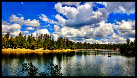 An image depicting the trail Military Sinkhole Trail and its surrounding area.