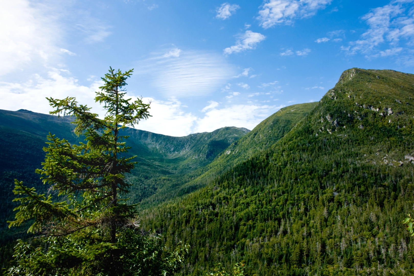 An image depicting the trail Great Gulf Link Trail and its surrounding area.