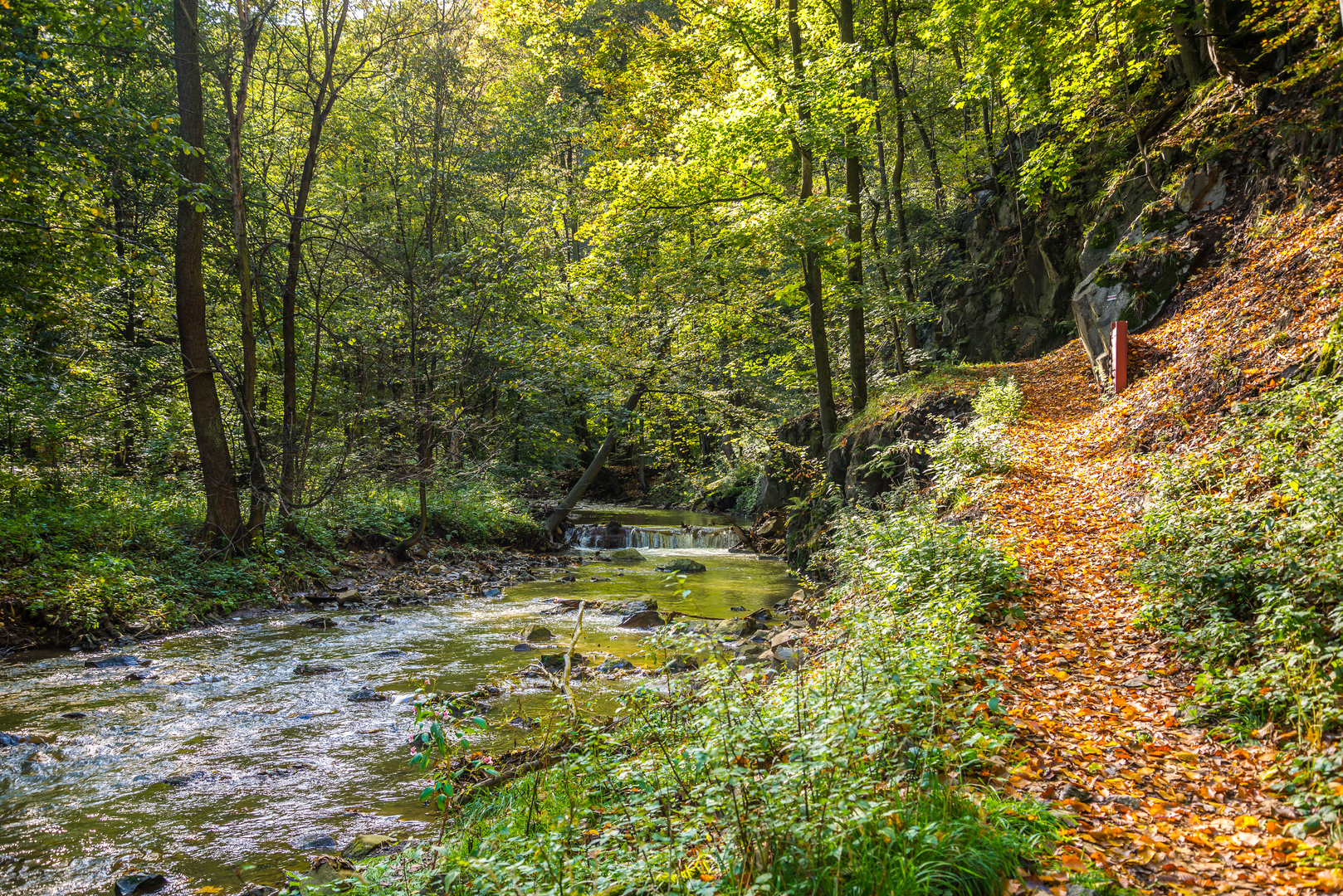 An image depicting the trail Piasts Castles Trail and its surrounding area.