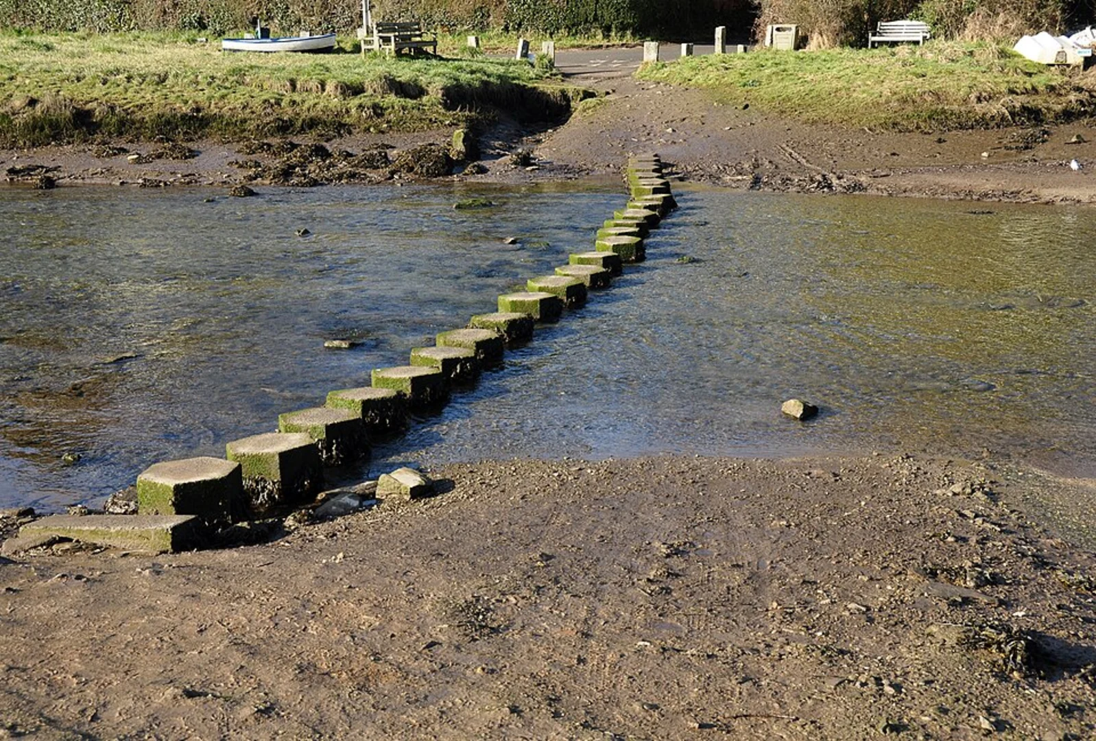 An image depicting the trail Lerryn Wood and Tivoli Park Loop and its surrounding area.