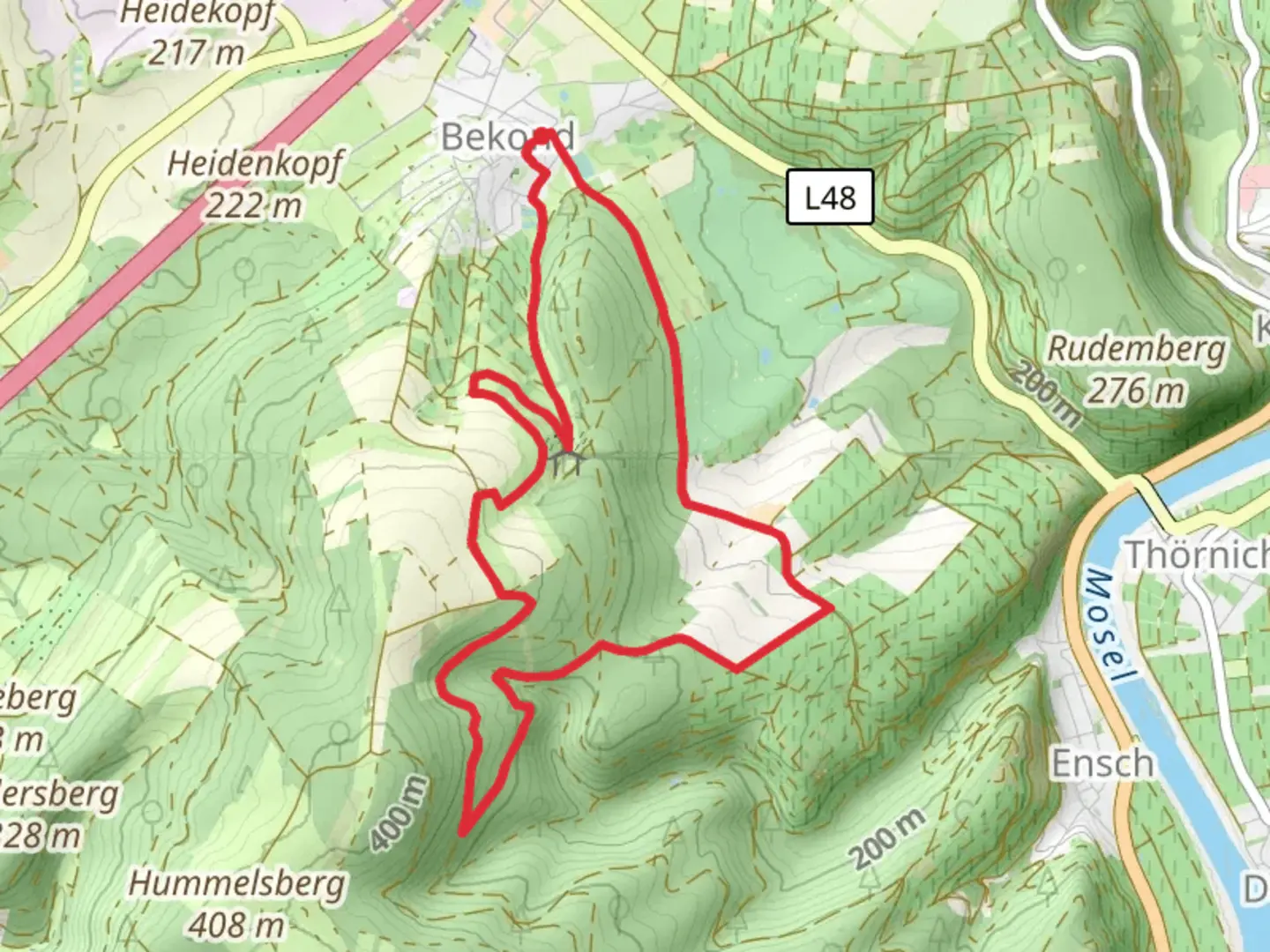 An image depicting the trail Enscher Wald Loop and its surrounding area.