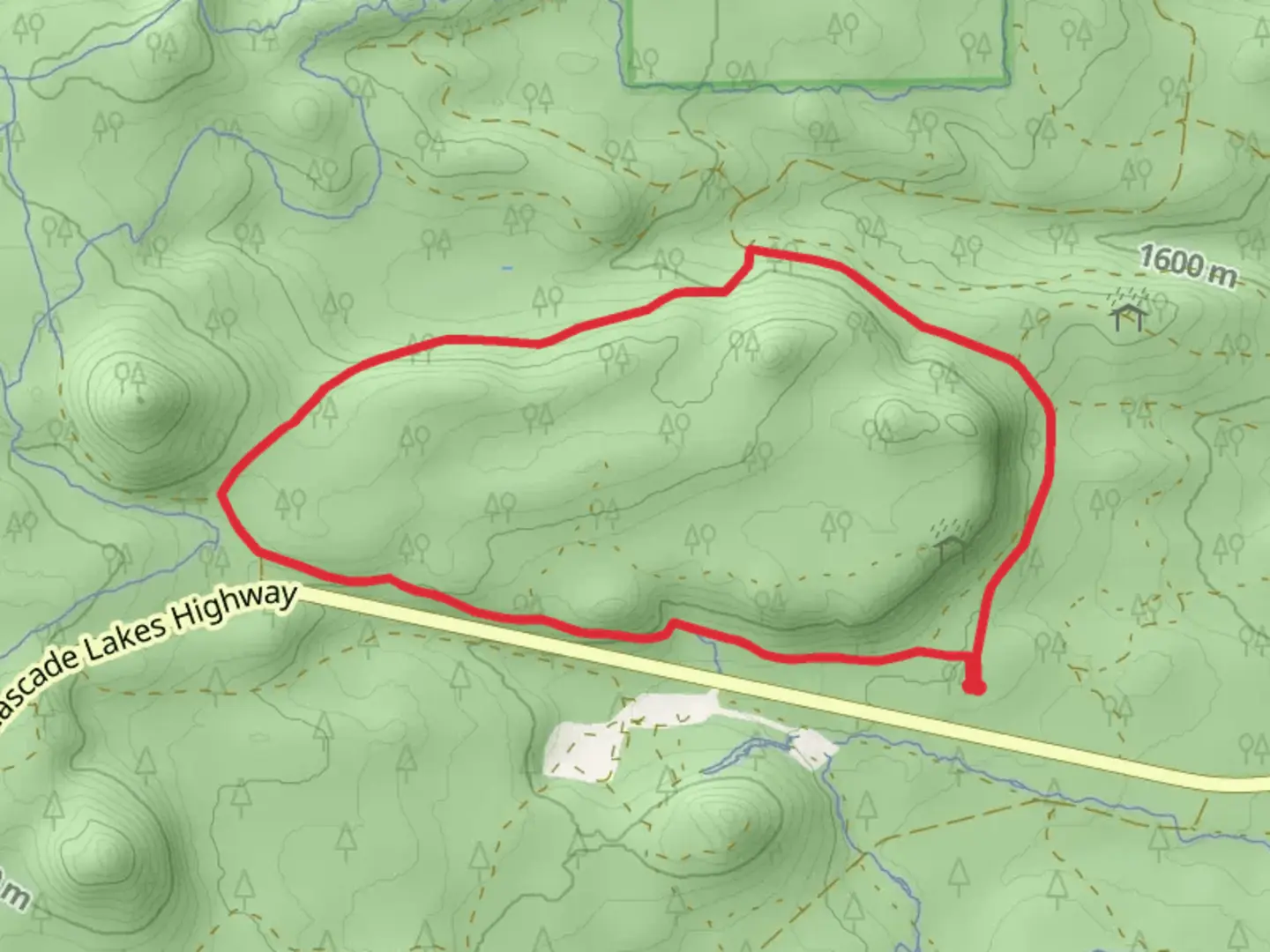 An image depicting the trail Swampy Snowshoe Loop and its surrounding area.