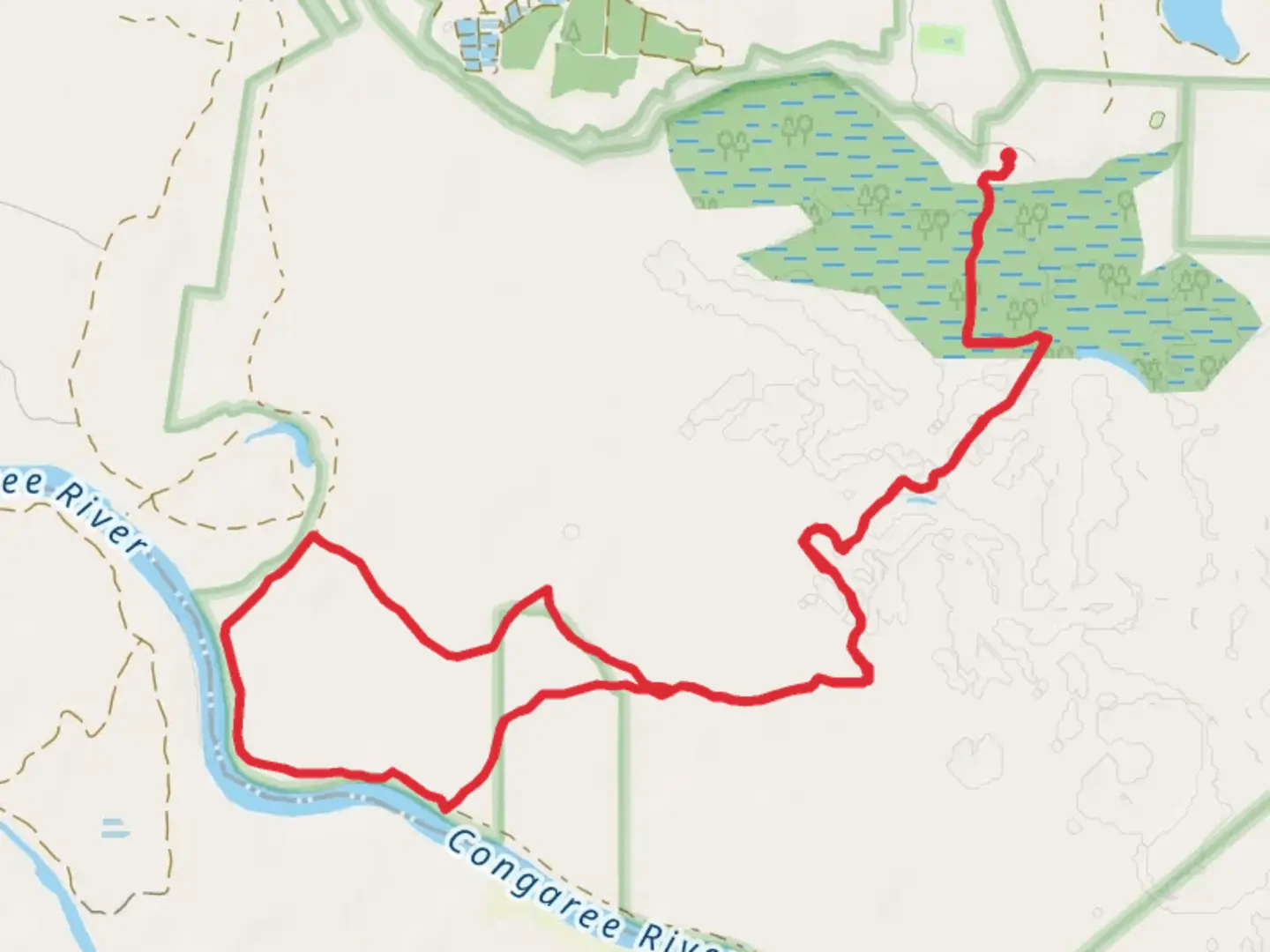 An image depicting the trail Boardwalk - Congaree River Loop Trail and its surrounding area.