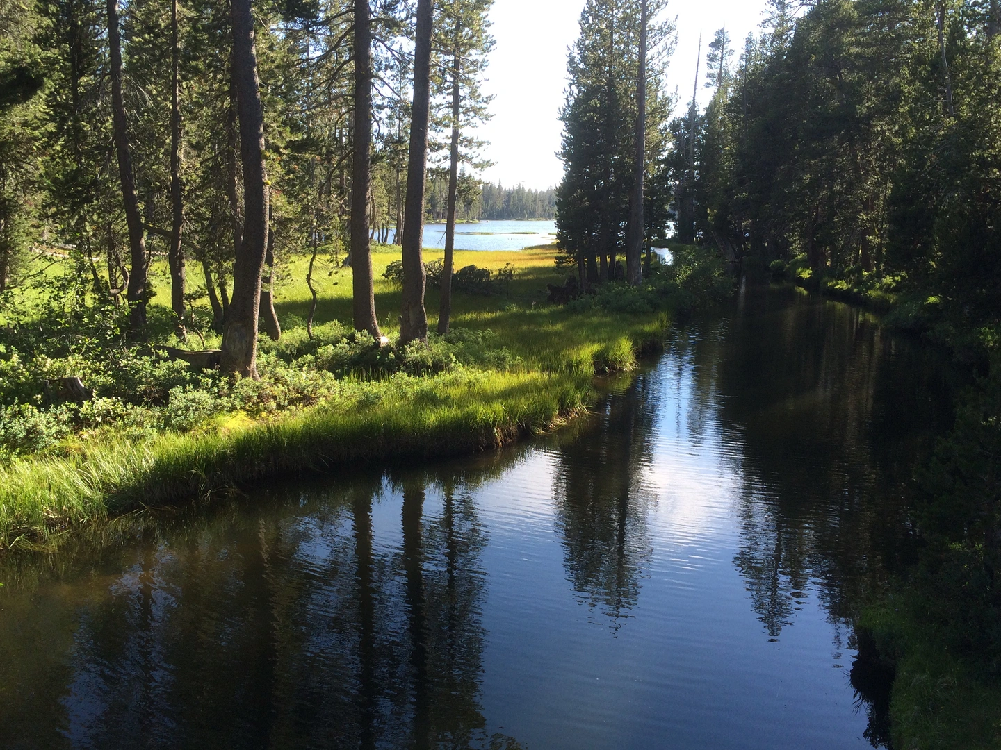 An image depicting the trail Red Peak Trail via Dark Lake and Barret Lake and its surrounding area.