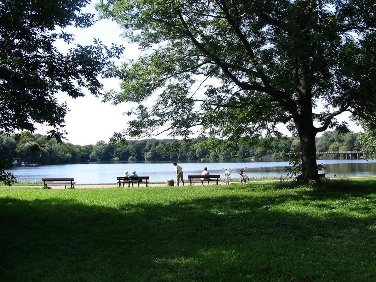 An image depicting the trail Auensee Loop and its surrounding area.