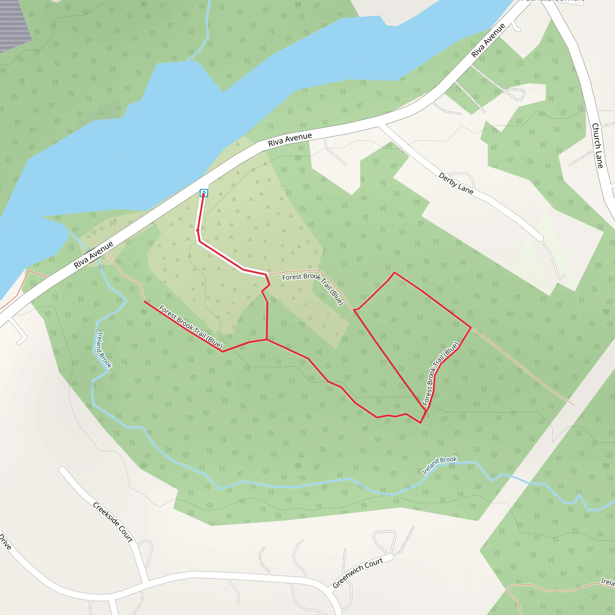 Forest Brook Trail - Blue Loop mobile static map