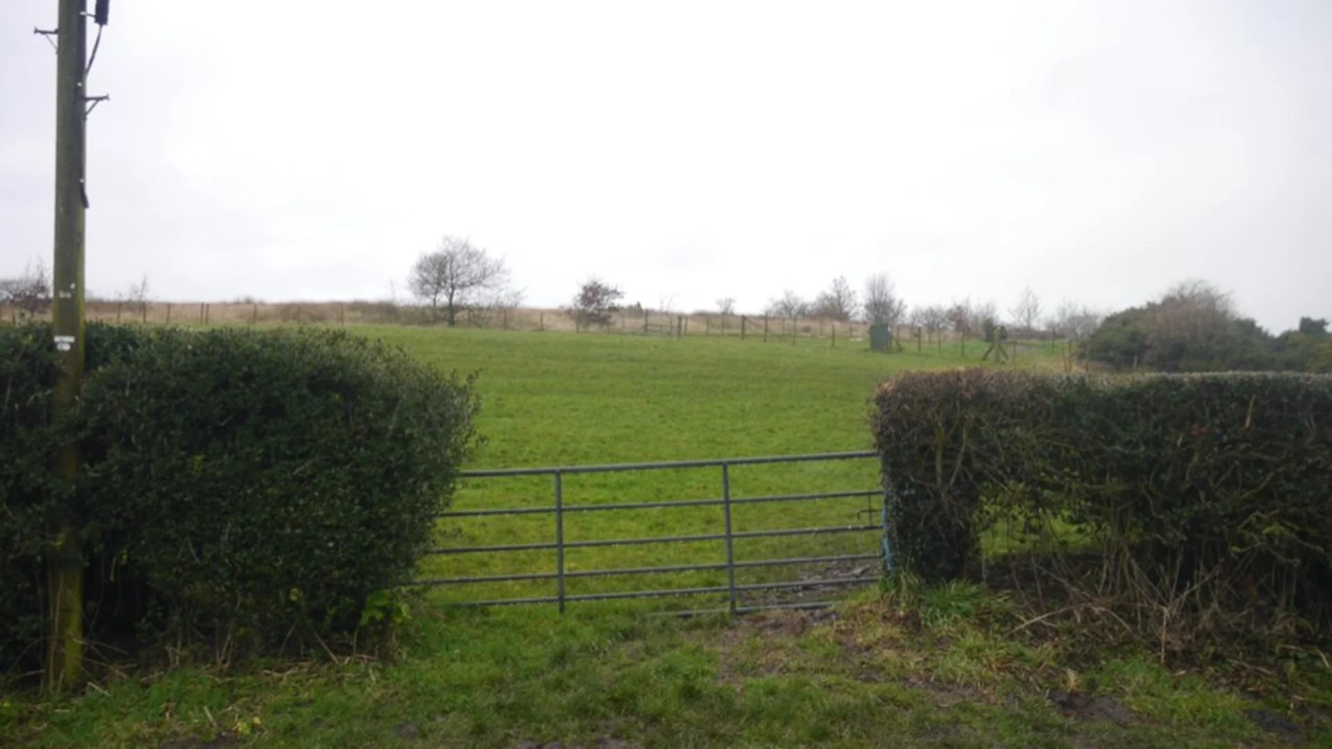 An image depicting the trail Top O th Lane and Brindle Loop and its surrounding area.