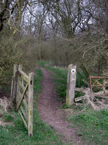 Old Brick Pit NR and Nun Wood