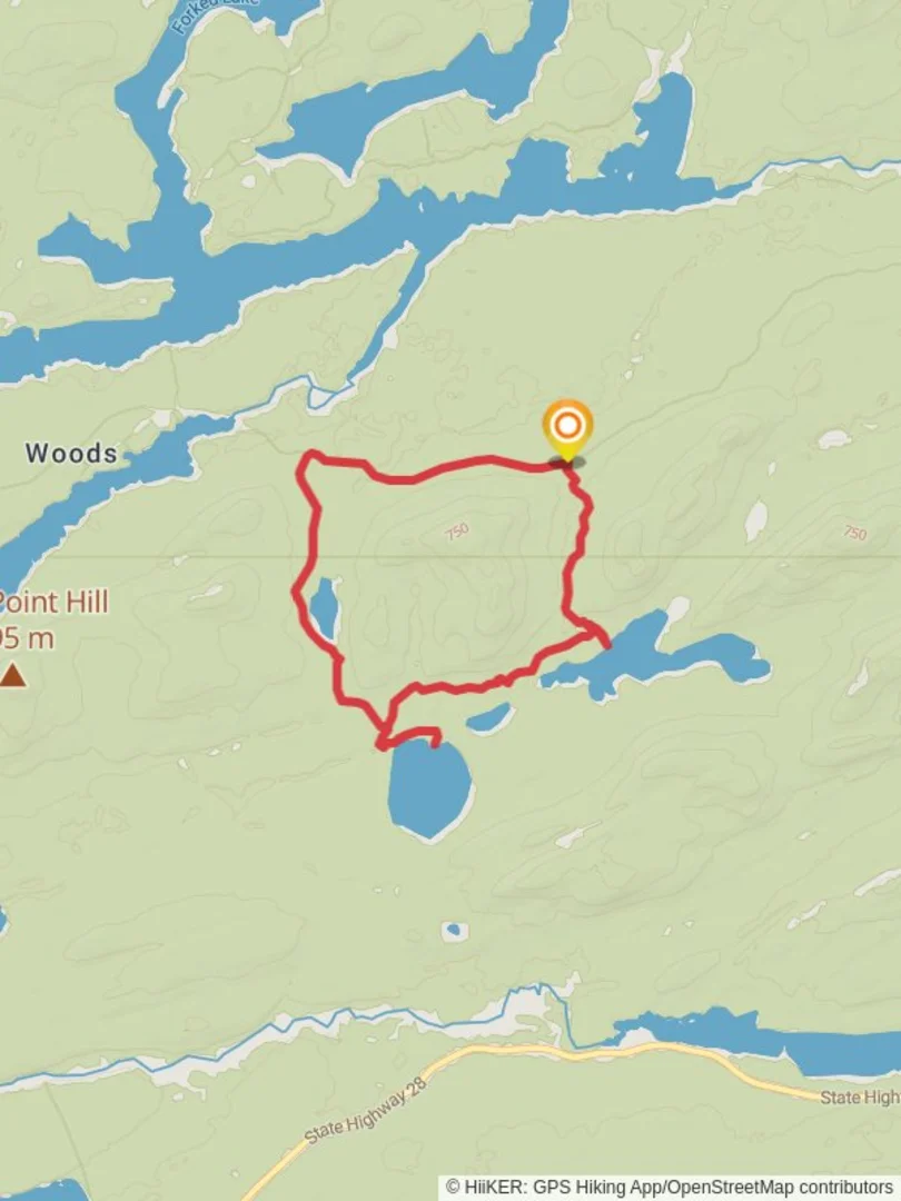 An image depicting the trail Upper Pond, Lower Pond and Grass Pond Loop and its surrounding area.