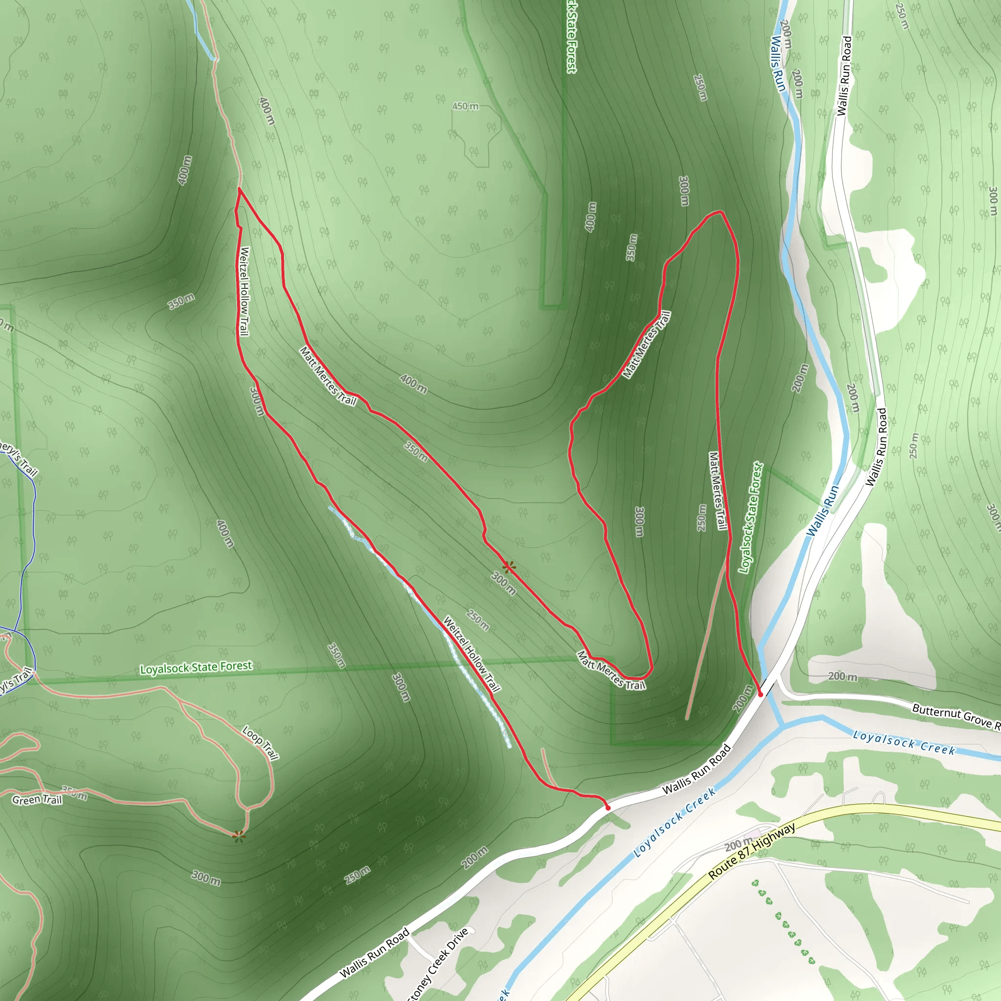 Matt Mertes Trail mobile static map