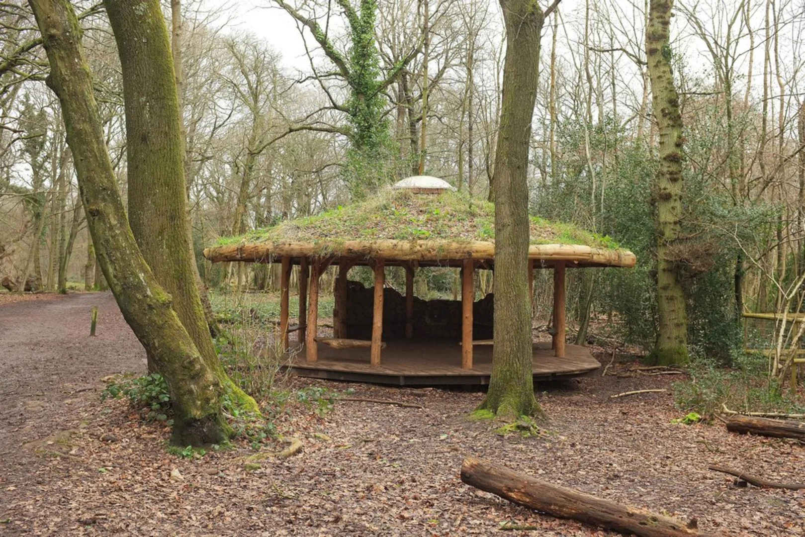 An image depicting the trail Leigh Woods Short Loop and its surrounding area.