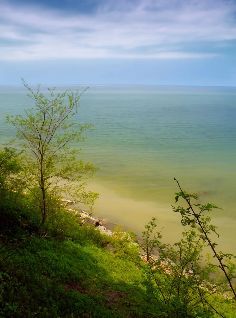 An image depicting the trail Transition Trail and Bluff Trail Loop and its surrounding area.