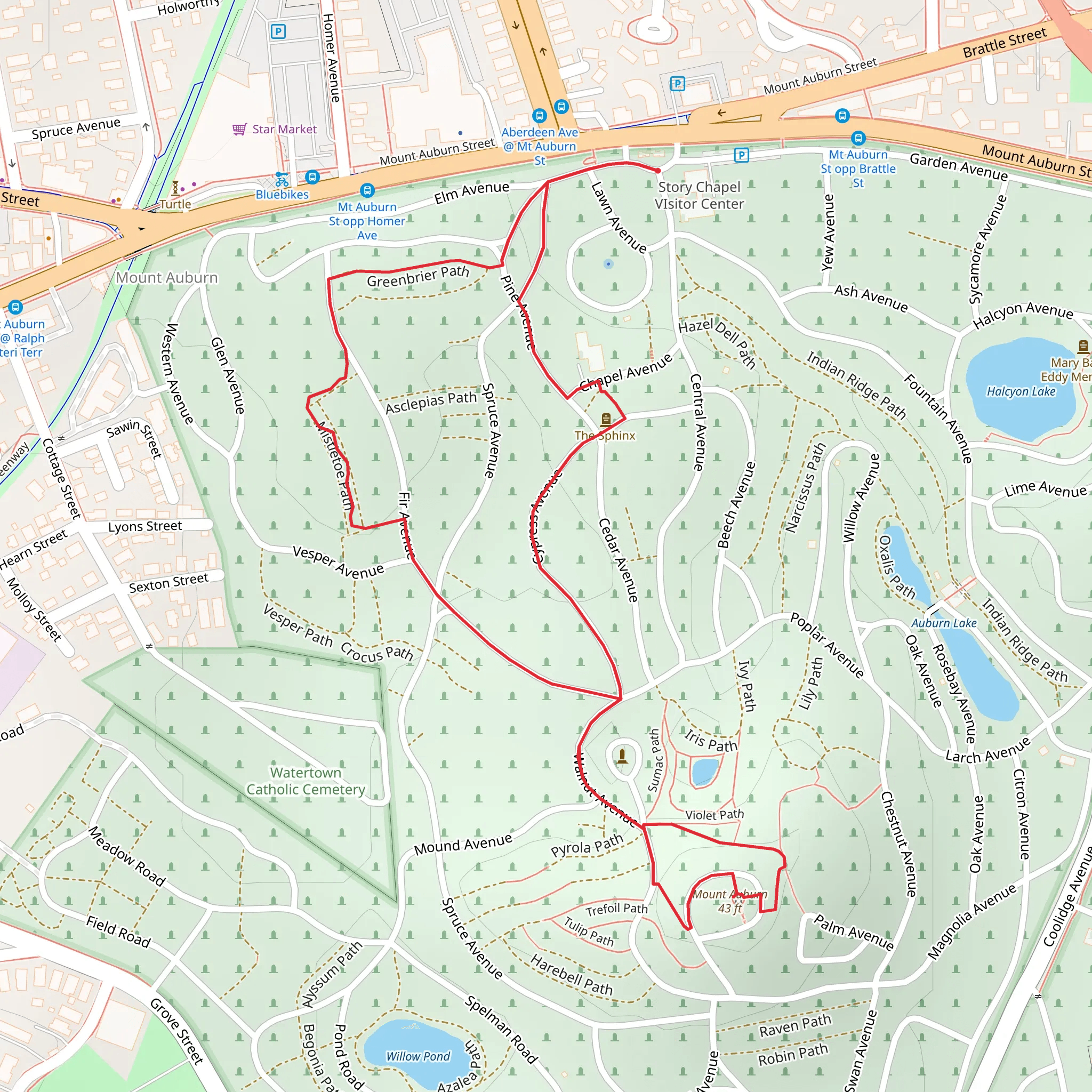 Mount Auburn Cementry Loop Trail mobile static map