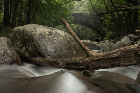 Cove Hardwood Nature Trail