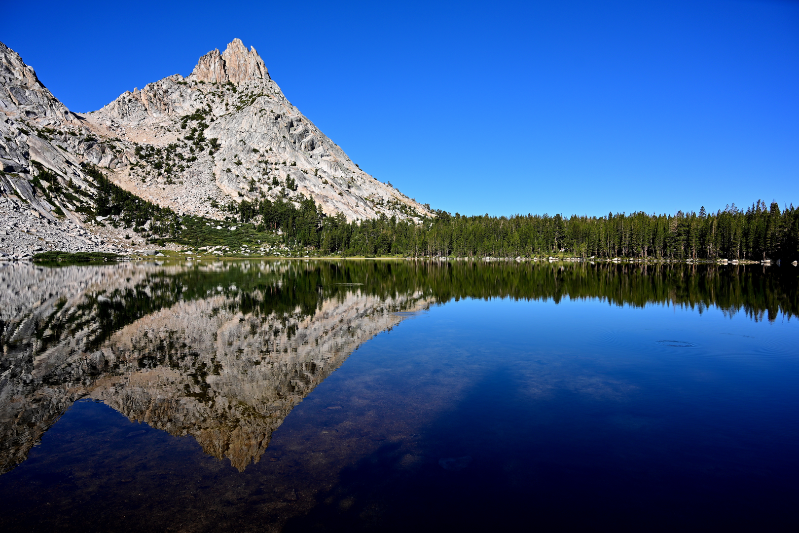 An image depicting the trail Young Lakes via PCT and its surrounding area.