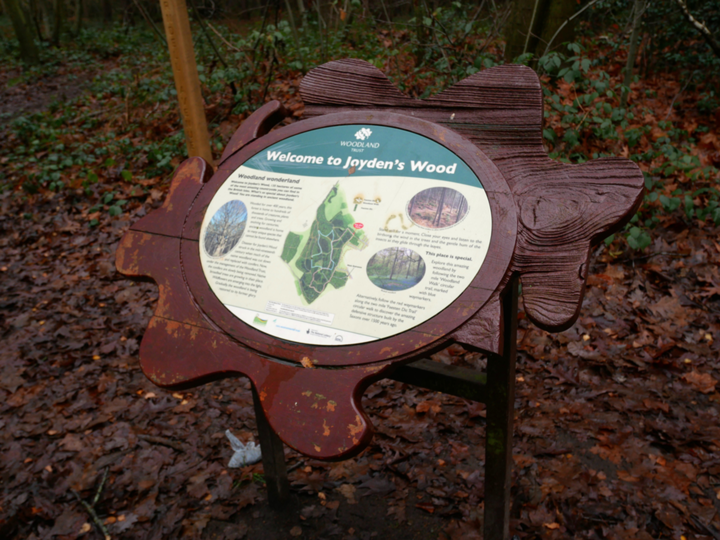 An image depicting the trail Joydens Wood and its surrounding area.