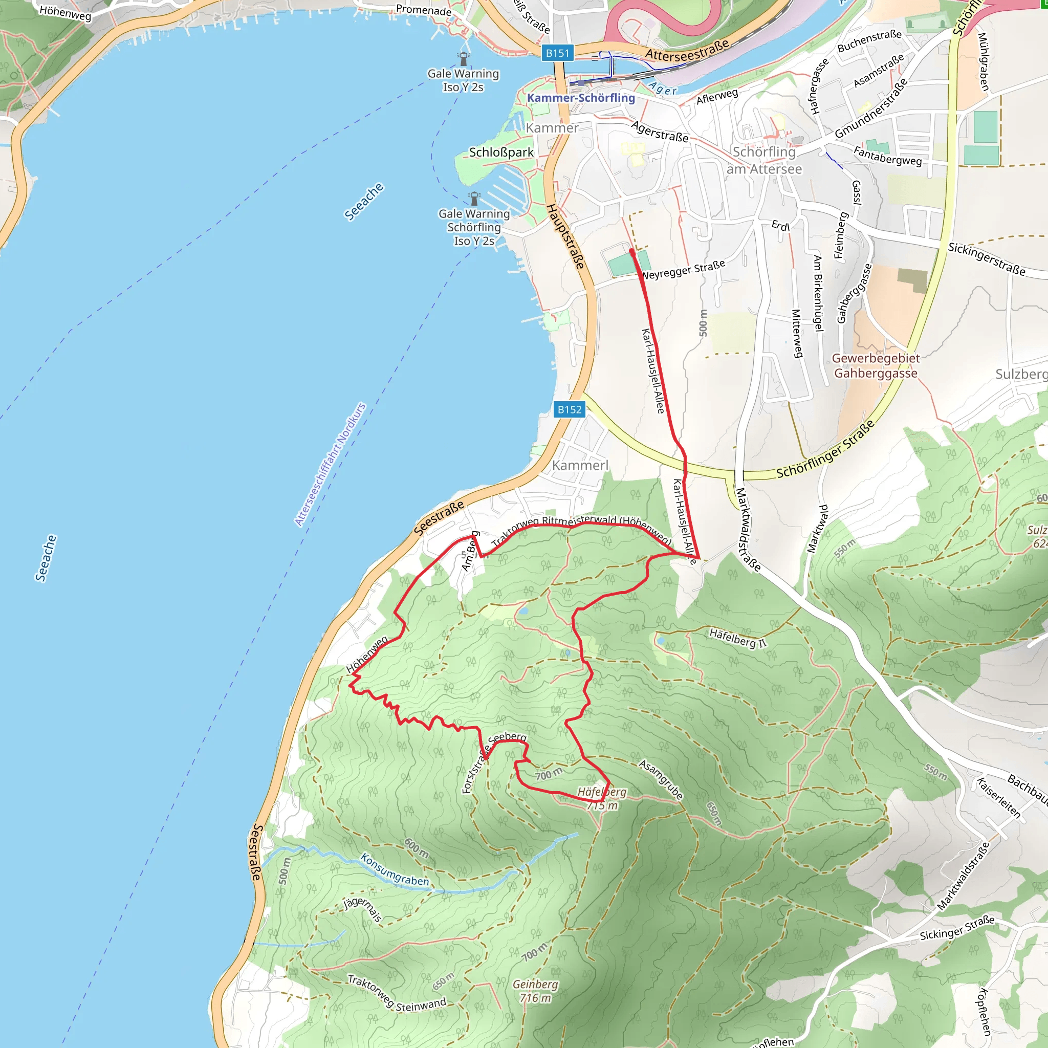 Marktwald - Häfelberg Trail mobile static map