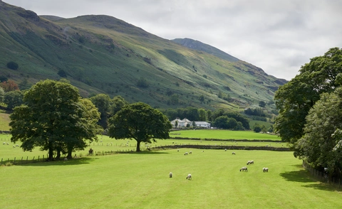 An image depicting the trail Raise and Helvellyn Loop via Thirlmere and its surrounding area.