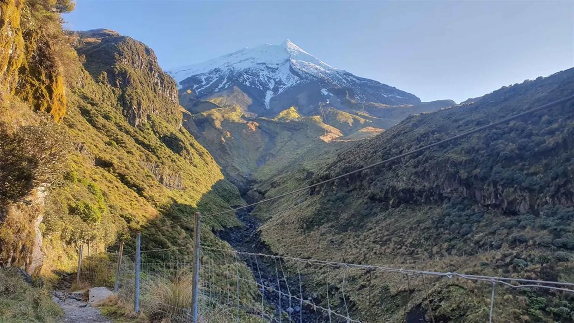 An image depicting the trail Manganui Gorge Track and its surrounding area.