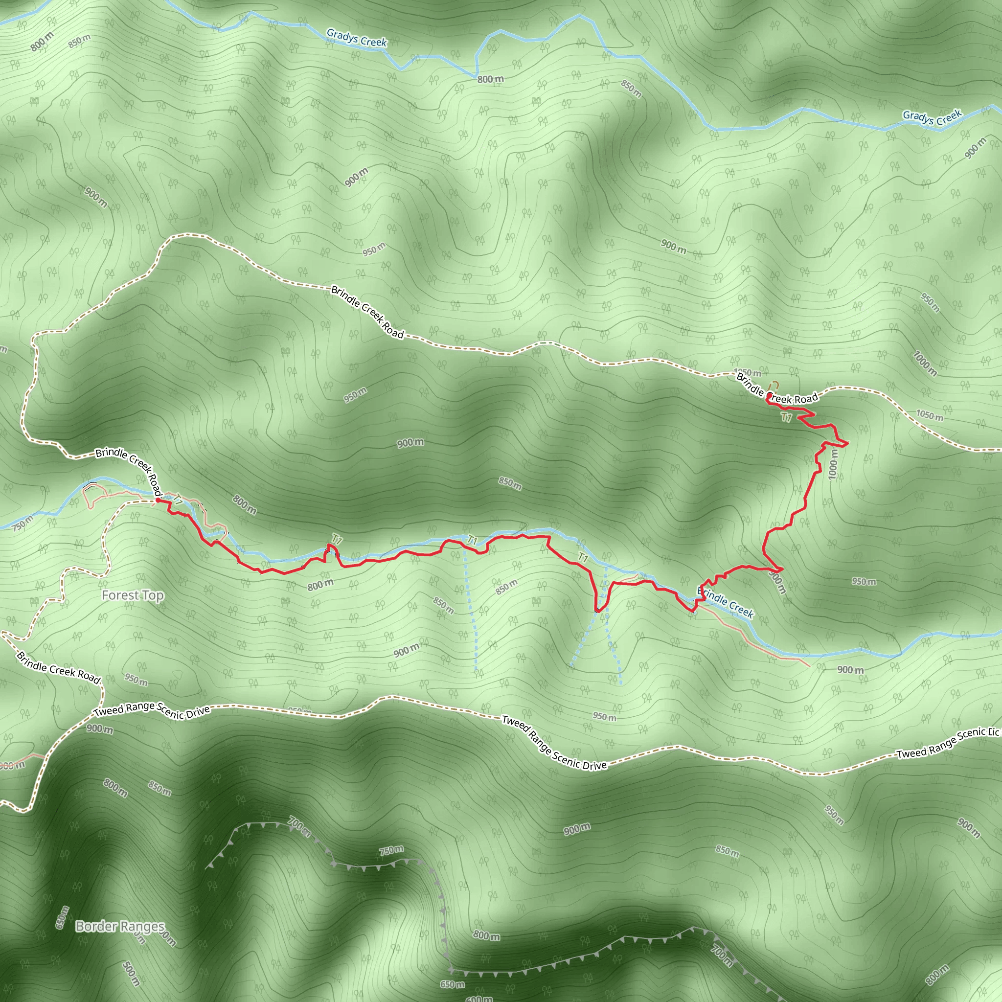 Brindle Creek Track mobile static map