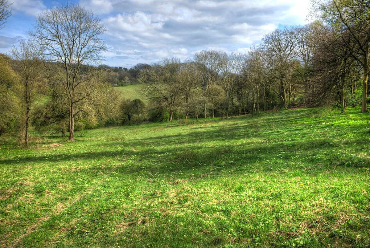 Magpie Bottom Nature Reserve Walk