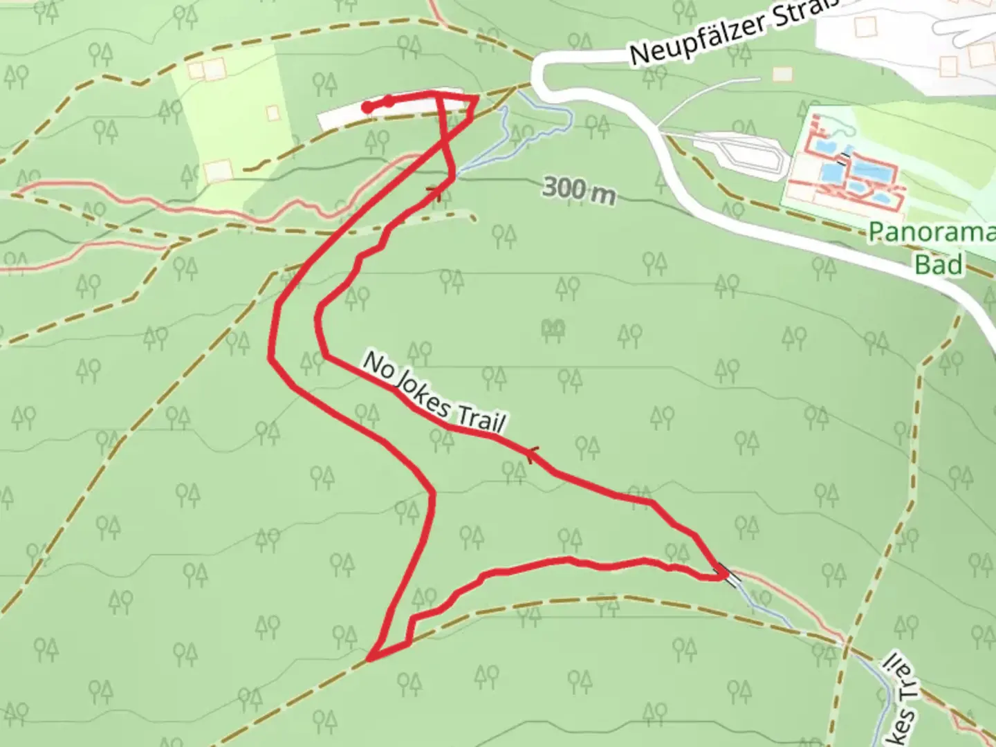 An image depicting the trail No Jokes Trail and its surrounding area.