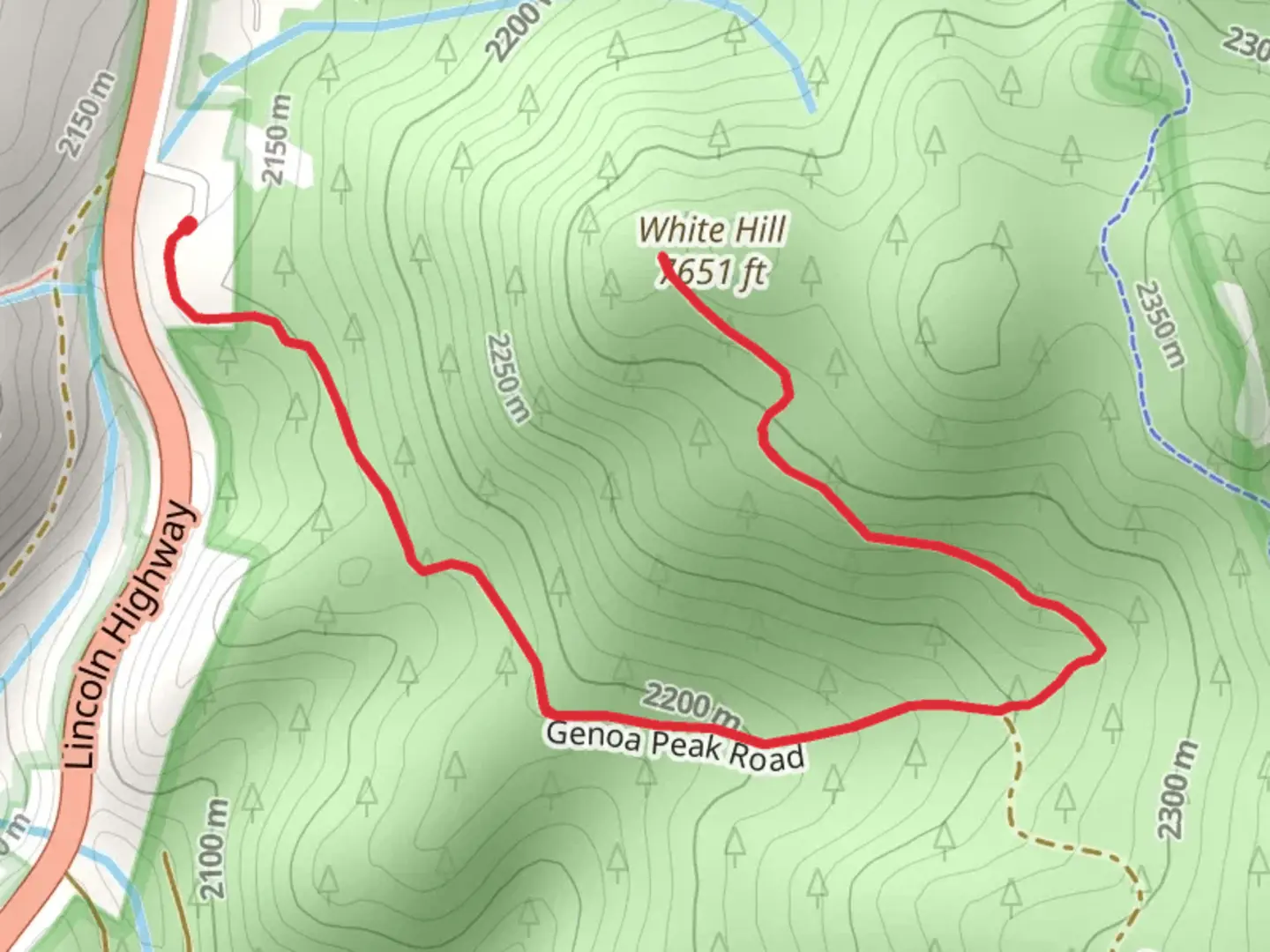 An image depicting the trail White Hill Out and Back and its surrounding area.