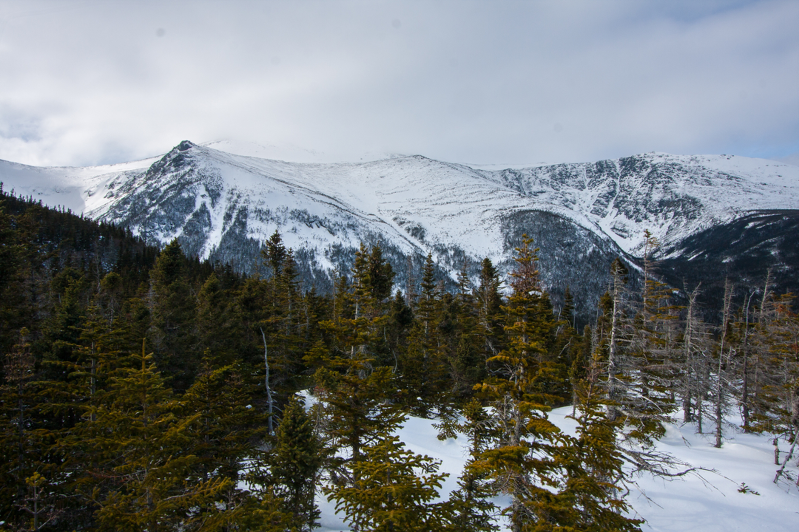 An image depicting the trail Lion Head Trail to Mount Washington Trail and its surrounding area.