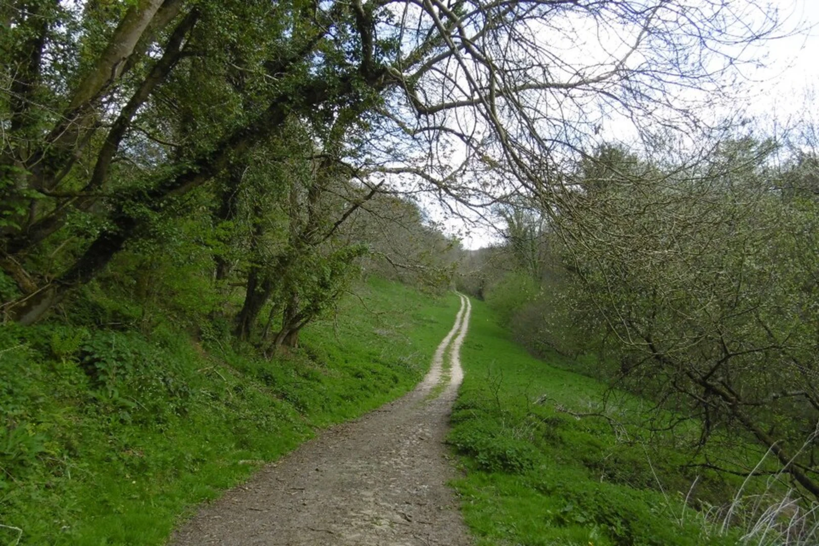 An image depicting the trail Mapperton House Loop and its surrounding area.