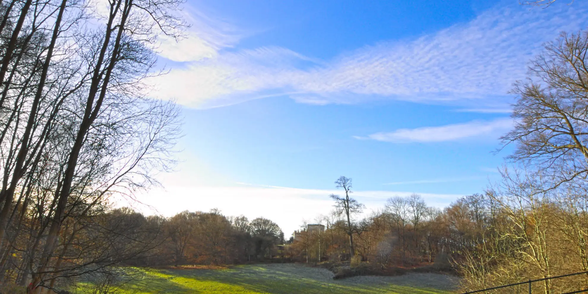 An image depicting the trail Trail to Golden Valley Ashridge and its surrounding area.
