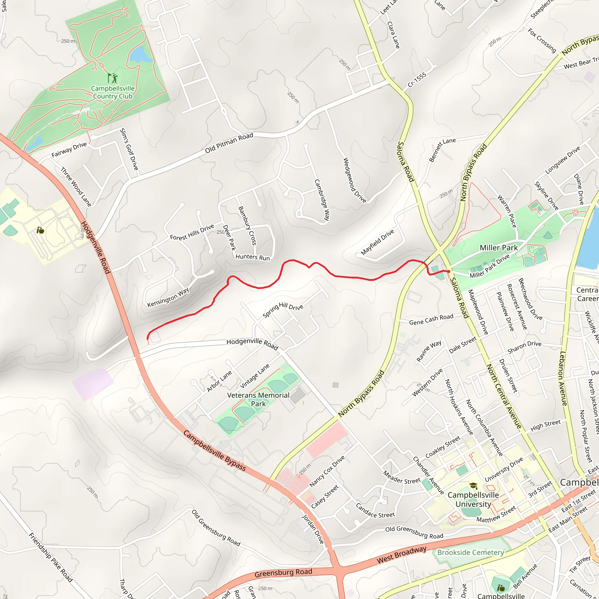 Trace-Pitman Greenway mobile static map