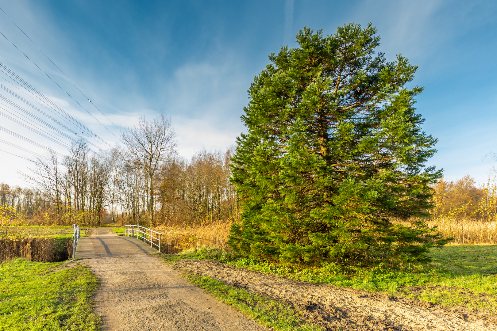 An image depicting the trail Prins Bernhard Bos, groene Weelde and Herdenkingsbos Loop and its surrounding area.