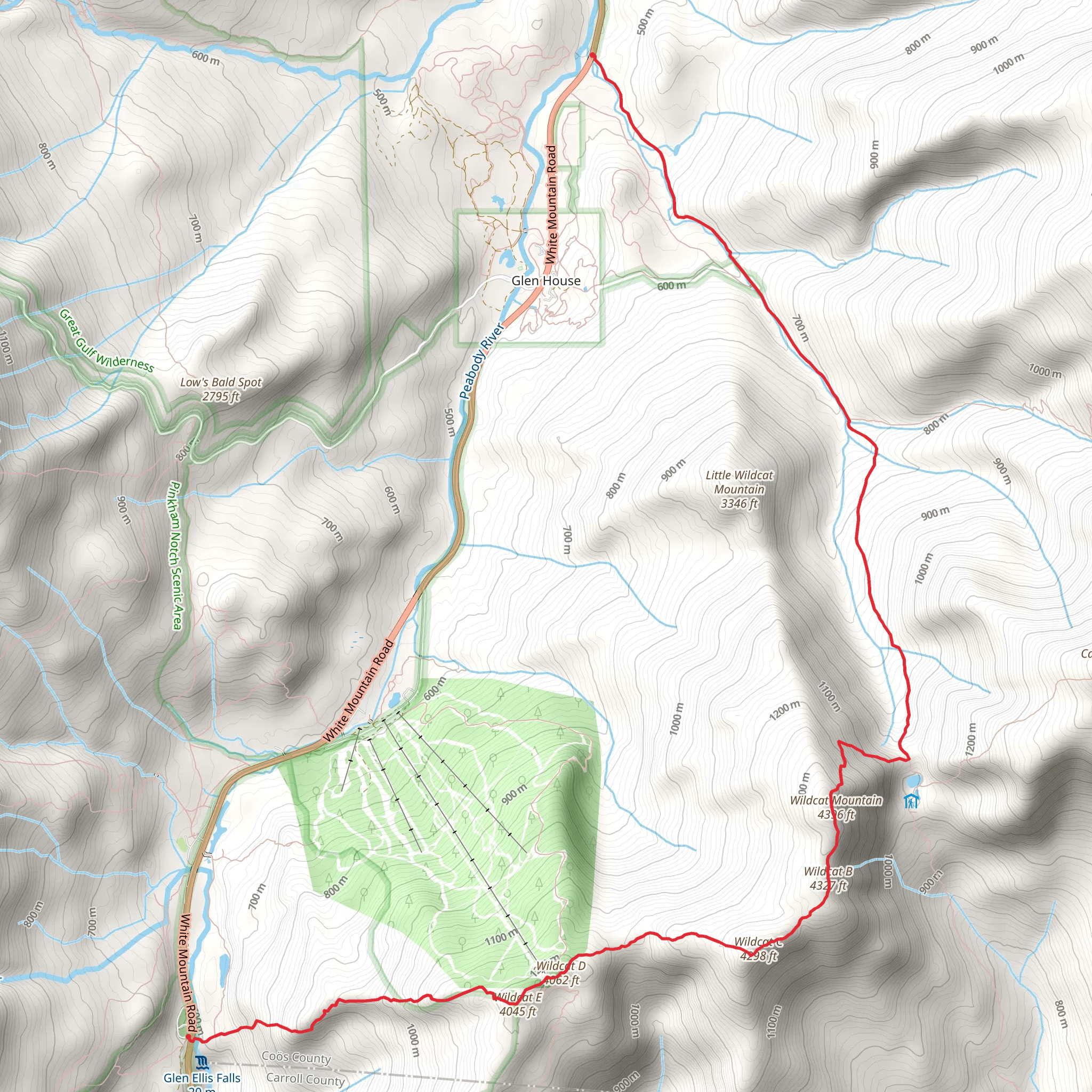 Wildcat Ridge and Nineteen Mile Brook Trail mobile static map