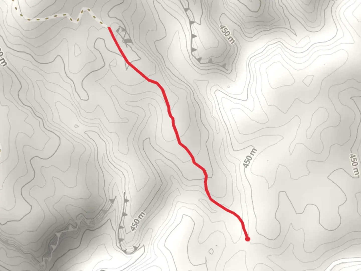 An image depicting the trail Primroy Bridge Rock Trail and its surrounding area.
