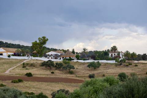 Mirador del Trevenque