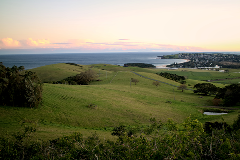 Mount Pleasant Summit Trail