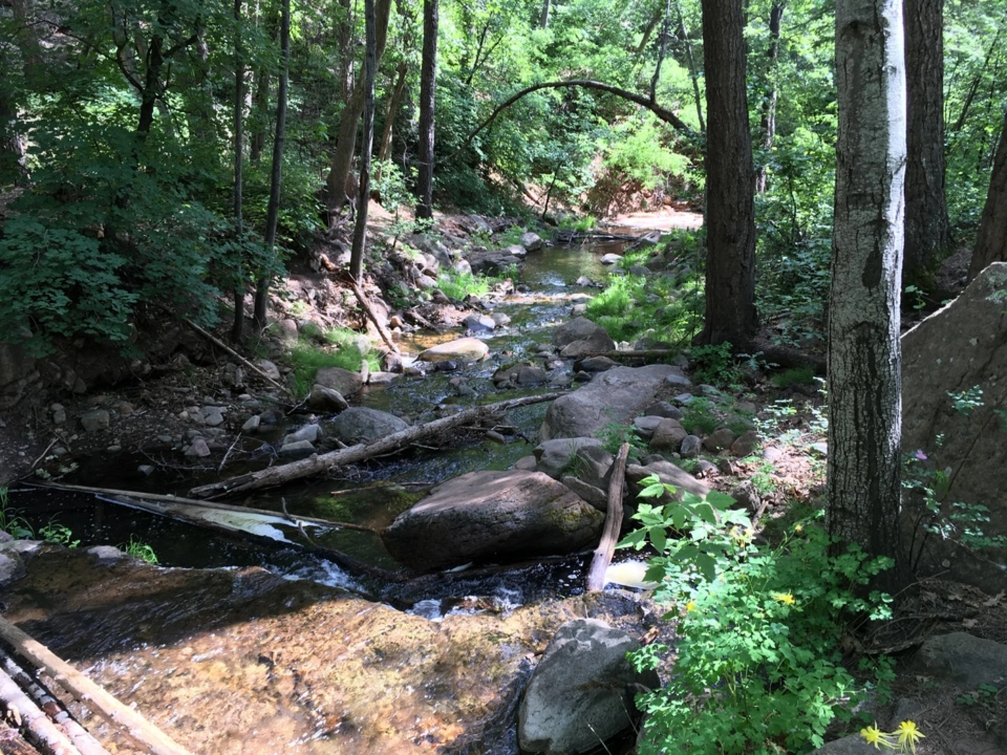An image depicting the trail Horton Springs Trail and its surrounding area.