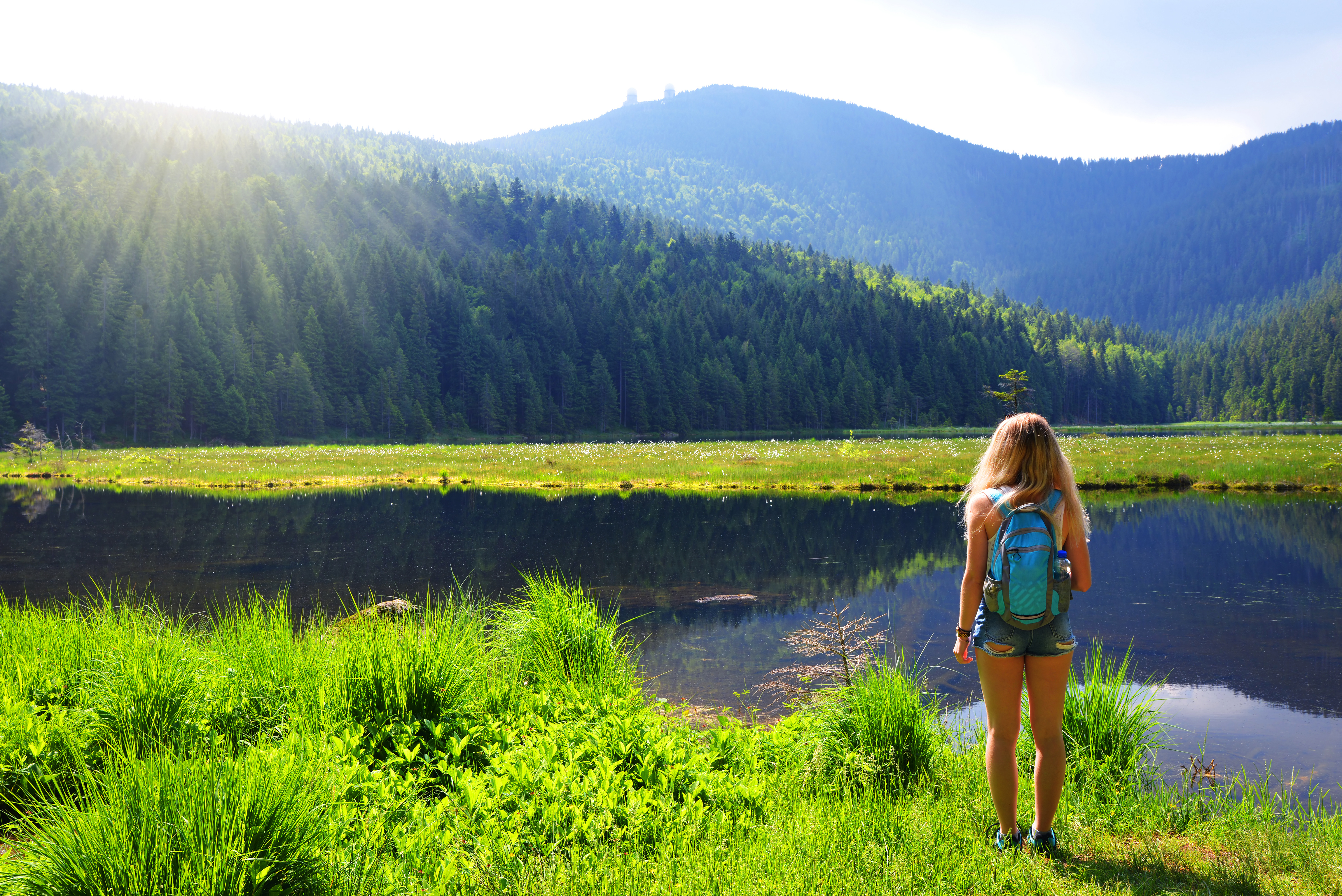 An image depicting the trail Bavarian Forest National Park and its surrounding area.