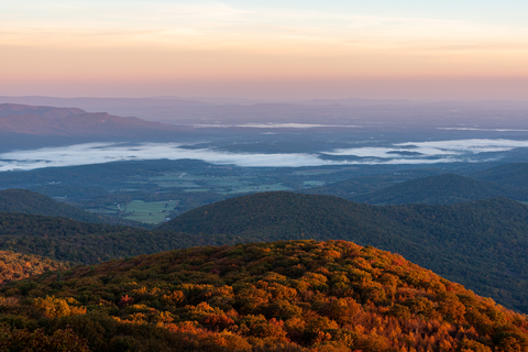 An image depicting the trail Beecher Ridge via Heiskell Hollow Trail and its surrounding area.
