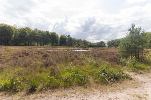 Kibbelkoele and Boswachterij Sleenerzand Loop