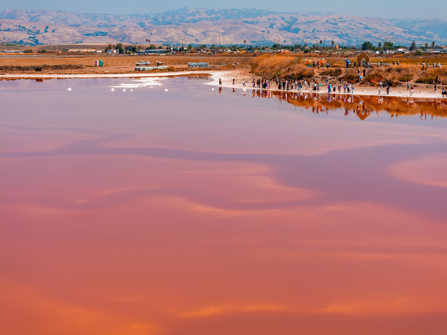 An image depicting the trail Alviso Slough Loop via Mallard Slough Trail and its surrounding area.