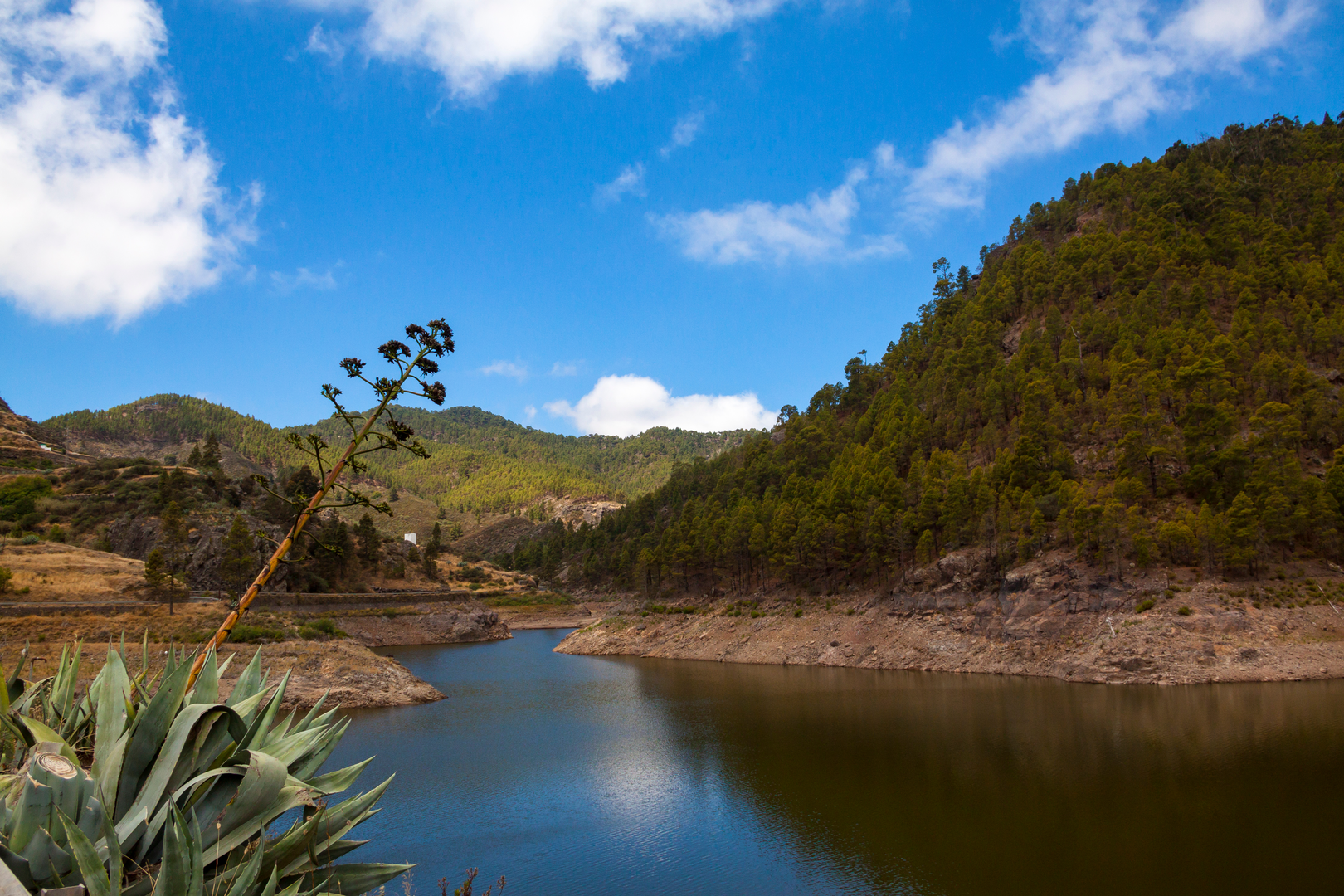 An image depicting the trail Gran Canaria and its surrounding area.